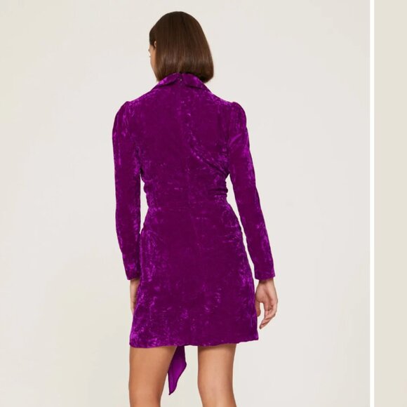 Size 6 - SHOSHANNA - Caroline Velvet Purple Dress Rent the Runway RTR $440 msrp - Picture 2 of 13